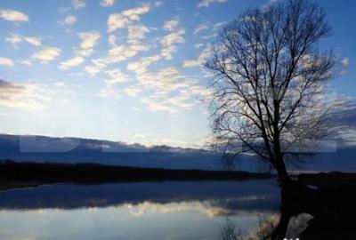 Teren de 120000 mp, în Divici - 2