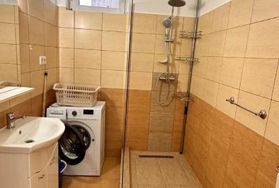 Garsonieră decomandată, mobilată în Turnișor - 9