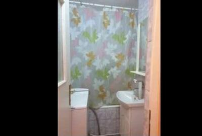 Garsonieră decomandată în Micălaca - 8