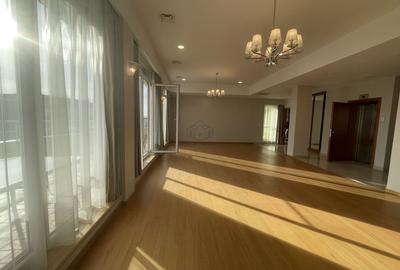 PENTHOUSE SUPERB CU 4 CAMERE LA INCHIRIERE LANGA PARCUL HERATSRAU - 2