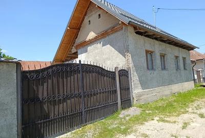 Vand proprietate (casa + teren) - 3