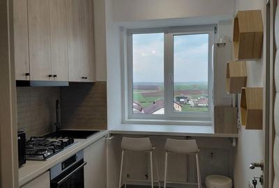Apartament cu 2 camere în Obcini - 6