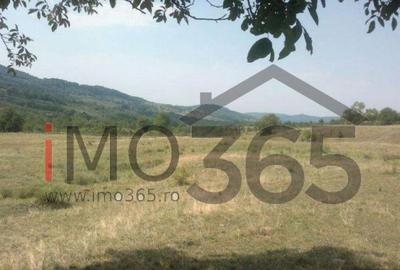 Teren 15 Hectare in sat | Mihaesti | Arges - 1