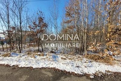 Teren de 1597 mp, în Scoarța - 2