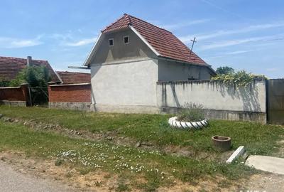 Vand casa la tara - 8