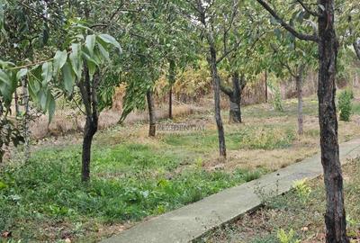 Casa indviduala cu 4 camere si teren generos - Jilava, Str. Garii - 8