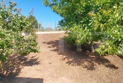 Pret redus 1 saptamana -Casa 4 camere, 200 mp, 1050 mp teren, zona Ciurbesti - 6
