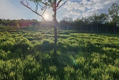 Teren de 1000 mp, în Central