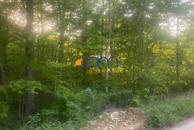 De vanzare teren intravilan 4235 mp Poiana Marului De vanzare teren intravilan 4235 mp Poiana Marului - 2