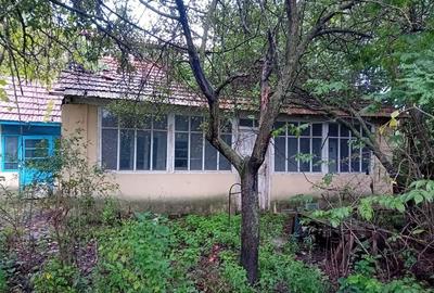 Casă cu 2 camere în Prisăcani - 2