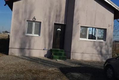 Casă cu Teren 2300 Mp în Cartojani - 4