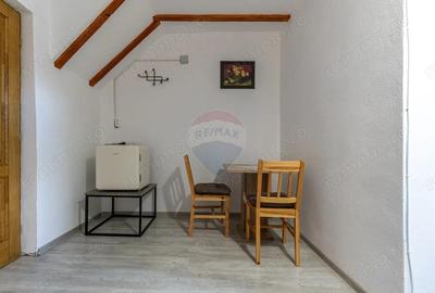 Casa / Vila cu 7 camere de vanzare - 7
