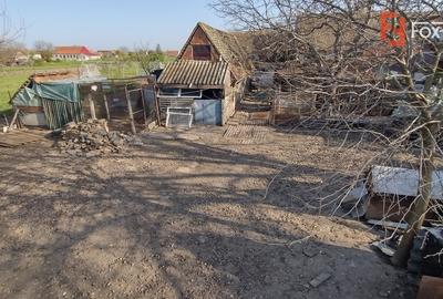 COMISION 0% Casa individuala 5 camere Checea - Gospodarie si teren 1789 mp - 22