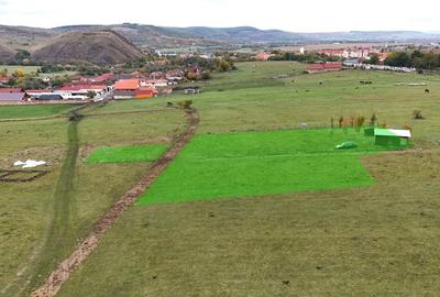 Teren  extravilan 2500 mp in Orlat - 2