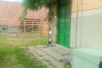 Casă în Central - 4