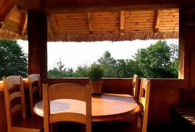 Casa in stil Taditional Romanesc , 170 mp, curte 500mp, strada privata - 6