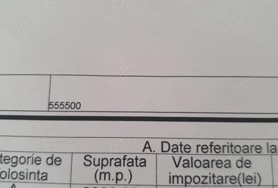 Teren de 9300 mp, în Tărlungeni - 1