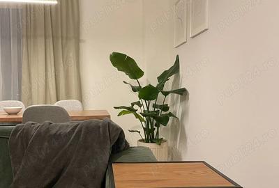 Venit 4000 luna GARANTAT, 2 camere Lipovei - 6