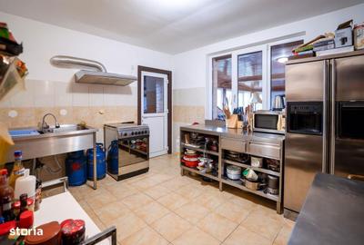 Spațiu comercial, de 400 mp, în Haieu - 14
