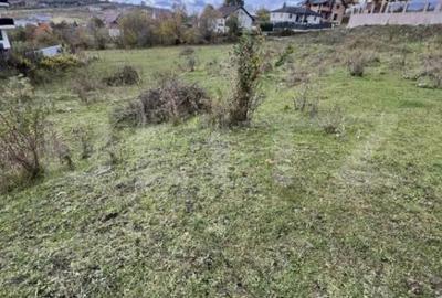 Teren de 3189 mp, în Cetății - 2