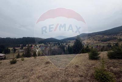 Teren Construcții intravilan de 6500 mp, în Arieșeni - 13