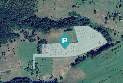 Teren de 92294 mp, în Hălmagiu - 2