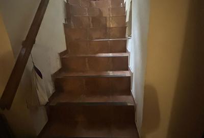 Spațiu comercial, de 74 mp, în Elisabetin - 6