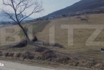 Spațiu comercial, în Viișoara - 2