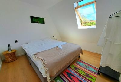 Cabana A-Frame, 4 camere, mobilata si utilata zona SUPERBA, Maguri - 9