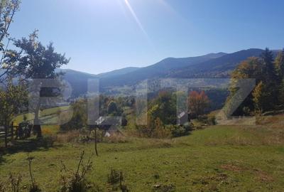 Super Oferta 5.2 euro/mp. Teren de vanzare in zona Arieseni - 6