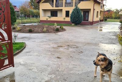 Casă cu 4 camere în Satu Nou de Jos - 3
