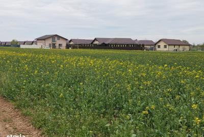 Spațiu comercial, în Balotești