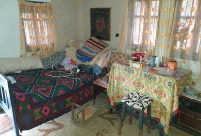 2 camere, 4000 mp,langa lacul Vidraru - 3