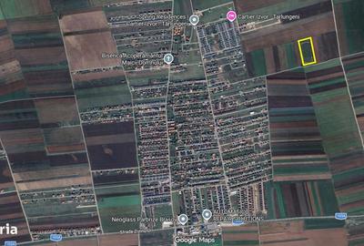 Spațiu comercial, în Central