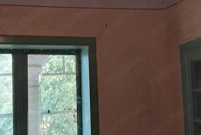 Casă cu 4 camere cu Teren 4200 Mp în Izvoru (Gogoșari) - 3