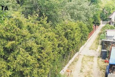 Casă cu 5 camere cu Teren 733 Mp în Luna - 20