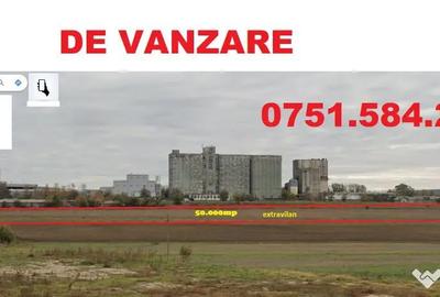 Teren de 50000 mp, în Cataloi