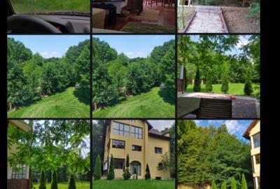 Casă cu 4 camere în Mislea - 1