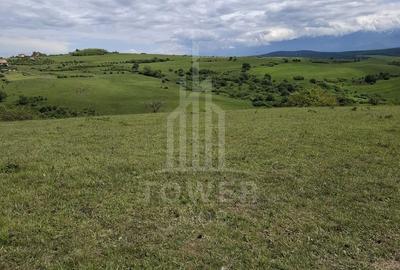 Teren agricol extravilan de 11500 mp, în Daia - 12