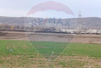 Teren Construcții intravilan de 2374 mp, în Cheriu - 5