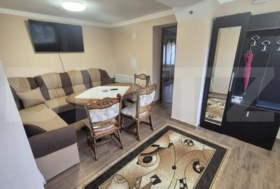 Casa cu 2 camere, 65 mp, teren 2910 mp, in Viile Satu Mare - 6