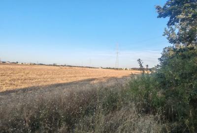 Teren Intravilan Cornetu - 3