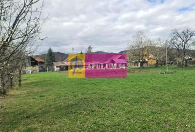 Teren de vanzare in Brebu - Zona Brebu Megiesesc - 4