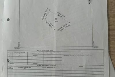 Teren de 20000 mp, în Topolog - 1