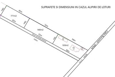 Spațiu comercial, în Manasia - 4