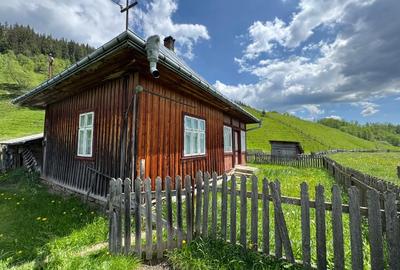 Vând proprietate 3,5 ha în Breaza de Sus, jud. Suceava, pe malul râului Moldova - 3