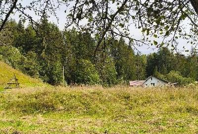 Teren intravilan Valea Doftanei - 13