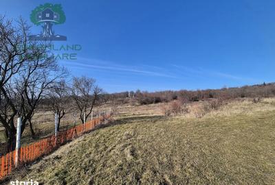Teren de 560 mp, în Bârnova - 5