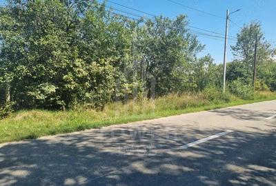 EXCLUSIVITATE! Teren la ?oseaua principala | Tocile - 2