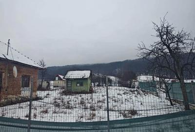 Teren de 2635 mp, în Dăești - 5